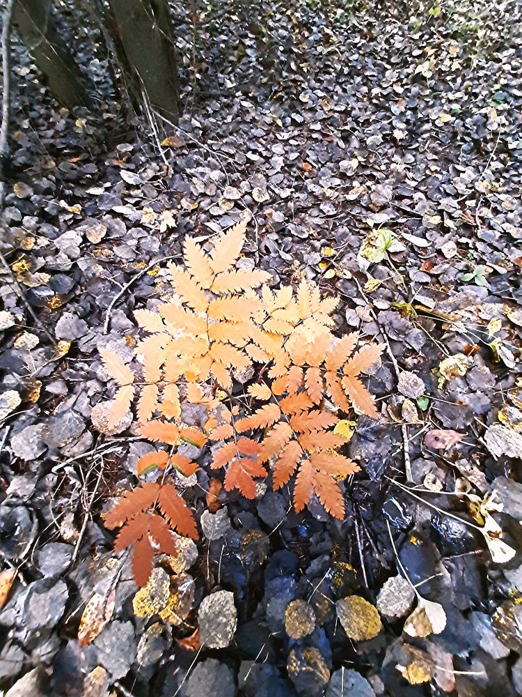 Photograph by Денис Геранькин