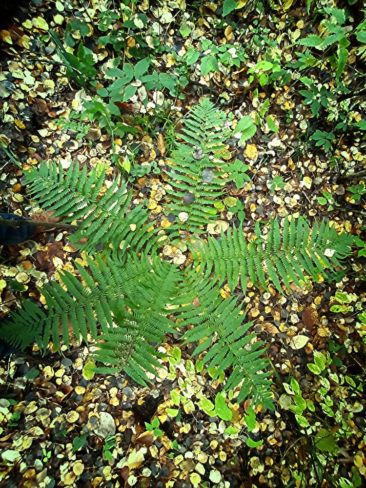 Photograph by Денис Геранькин