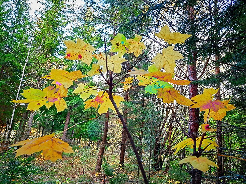 Photograph by Денис Геранькин