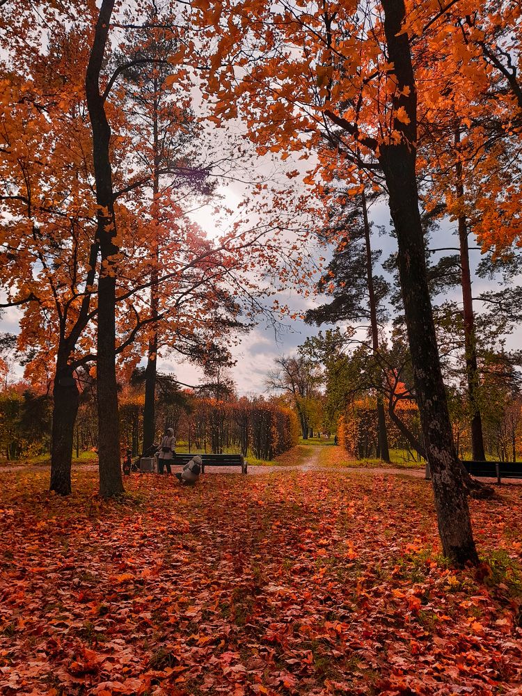 Photograph by Алексей Купцов