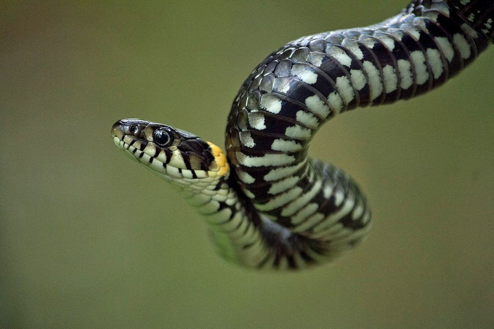 Photograph by Оксана