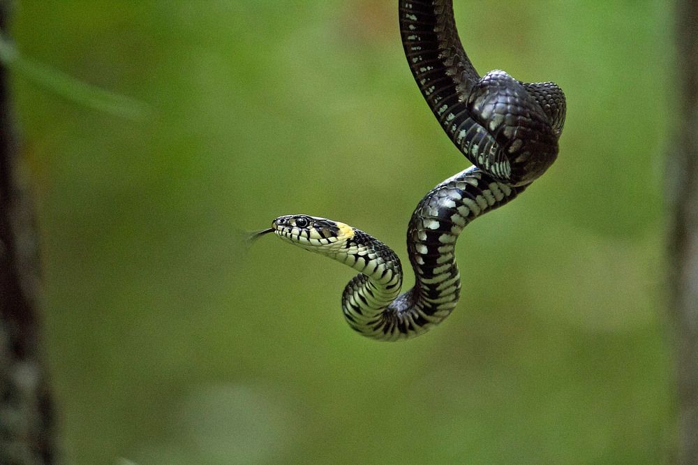 Photograph by Оксана