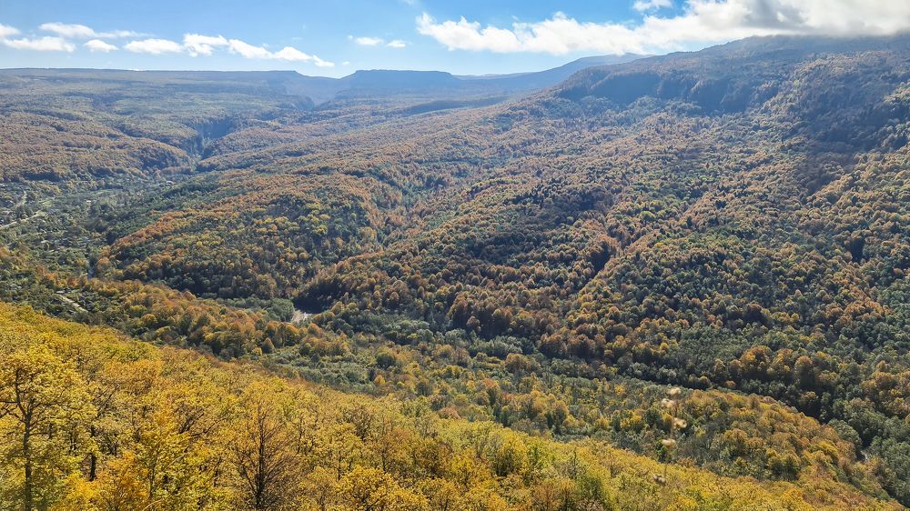 Photograph by Надежда Алешечкина