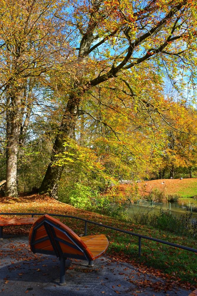 Фотография автора Анна