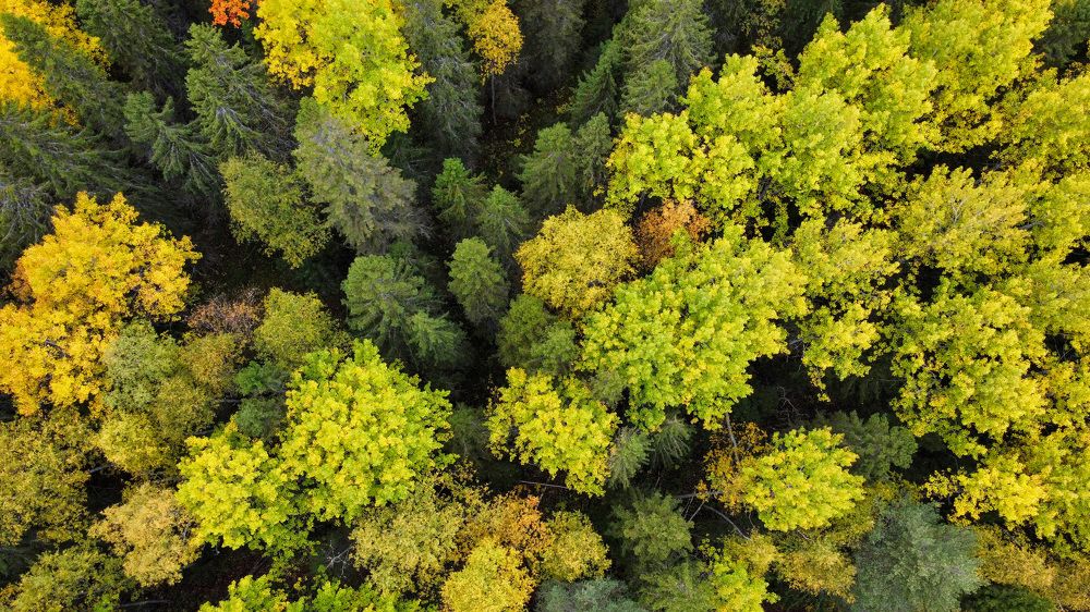 Photograph by Евгений Козырев