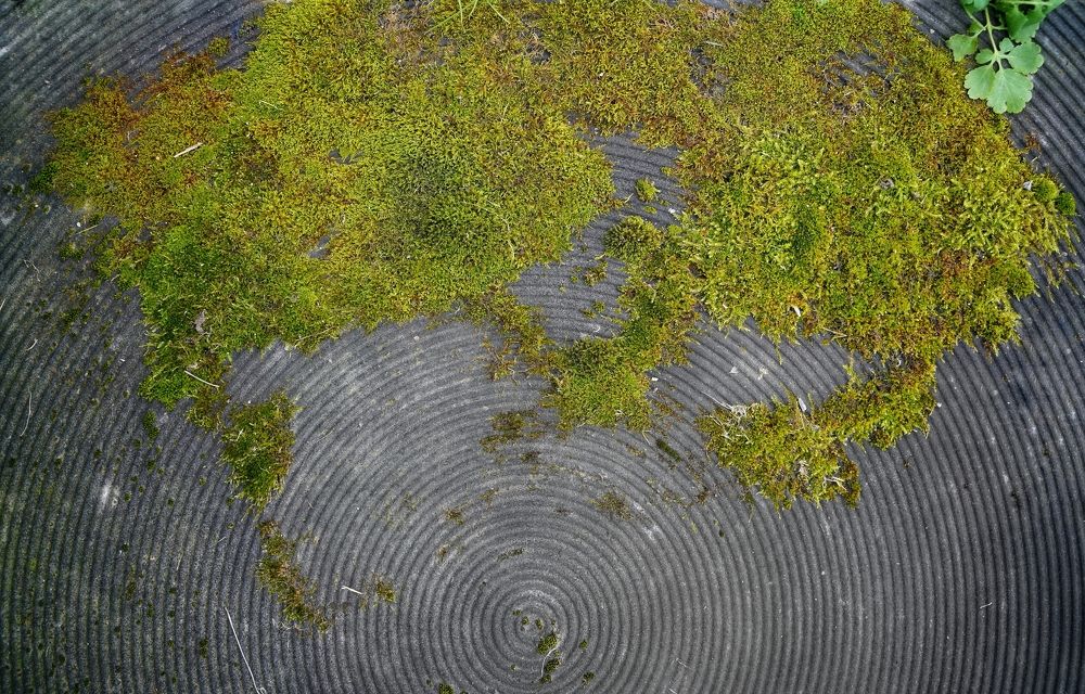 Photograph by Александр Кочергин