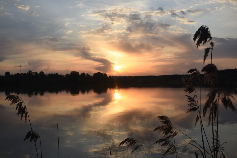 Photograph by Овечкин Павел