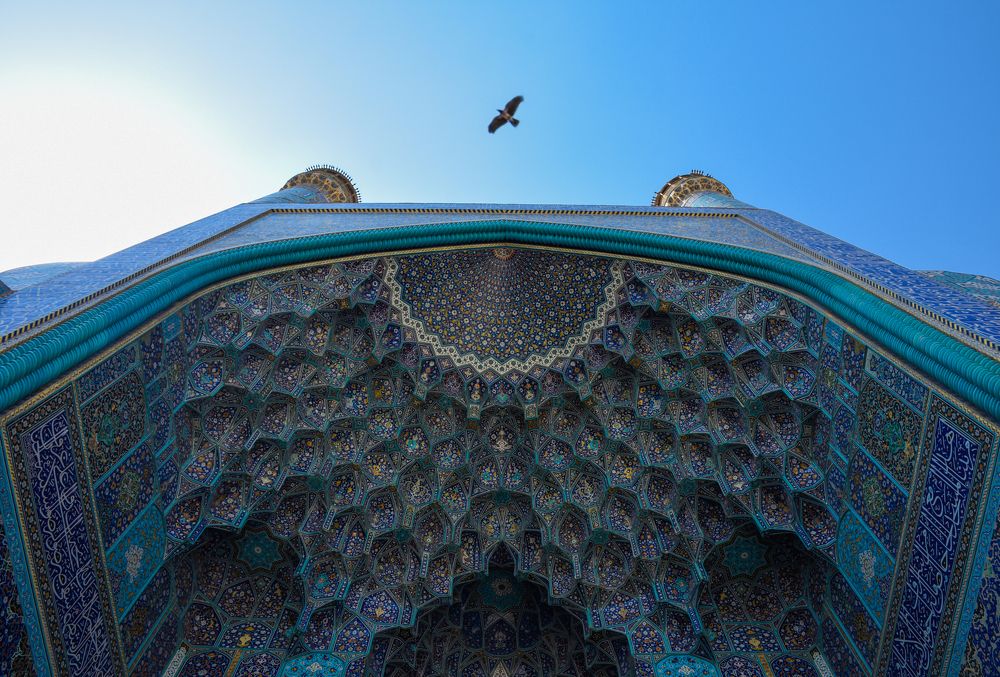 Фотография автора Mohsen Tavakoli