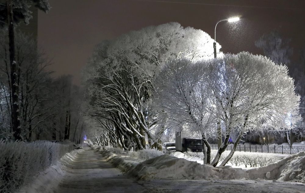 Ночная сказка.