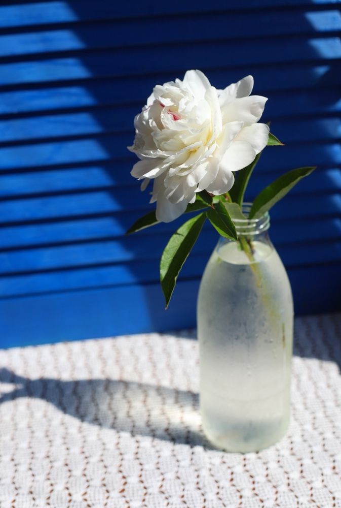 Photograph by Ася Радченко