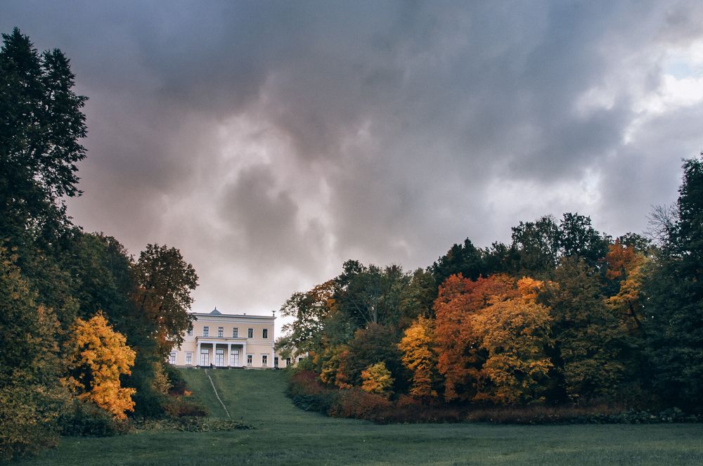 Photograph by Сафронова Любовь