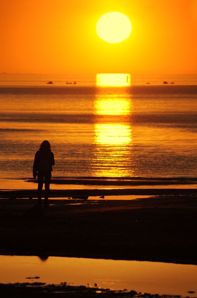 Photograph by Сафронова Любовь