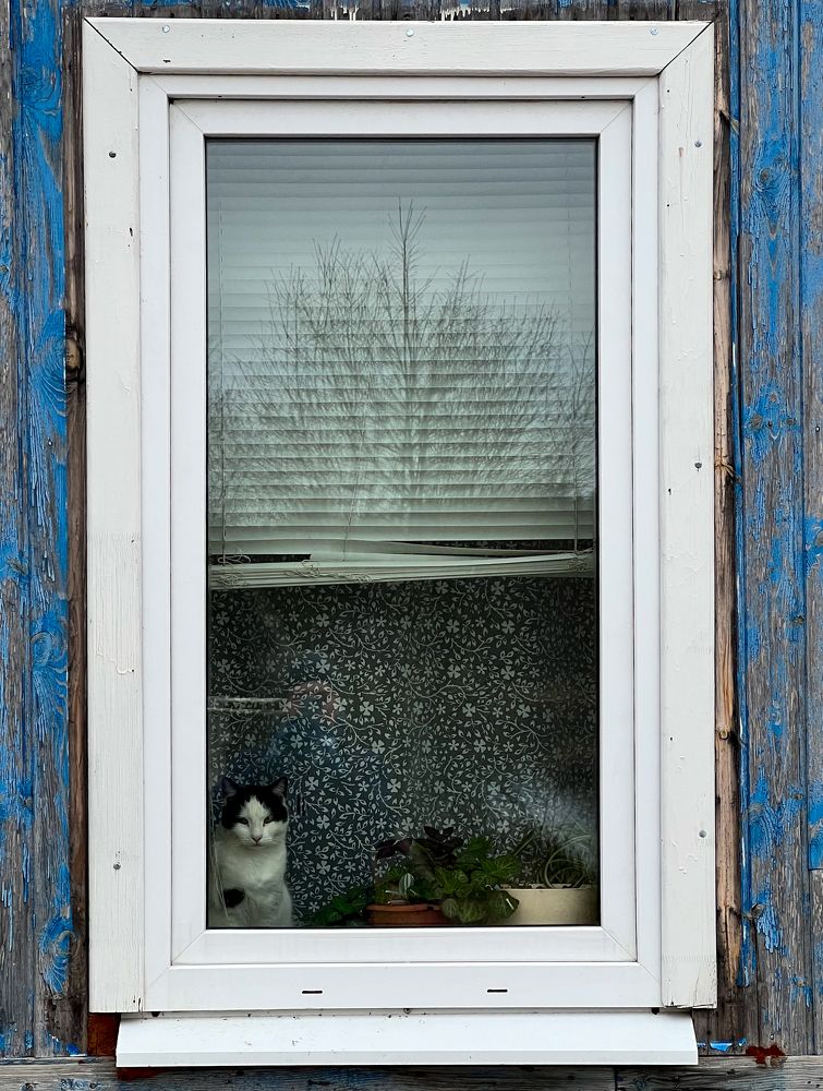 Photograph by Владислав Зайцев