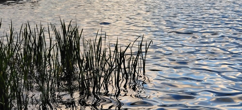 Photograph by Сабина Иминова