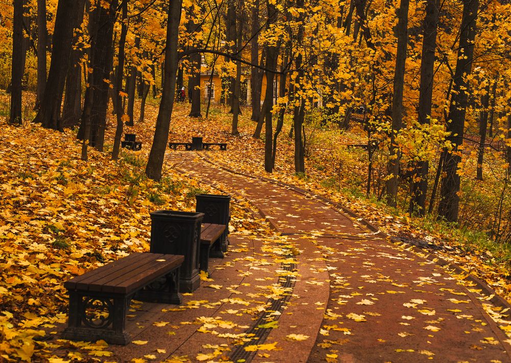 Photograph by Валентина Кваскова