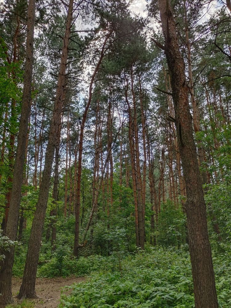 Photograph by Сабина Иминова