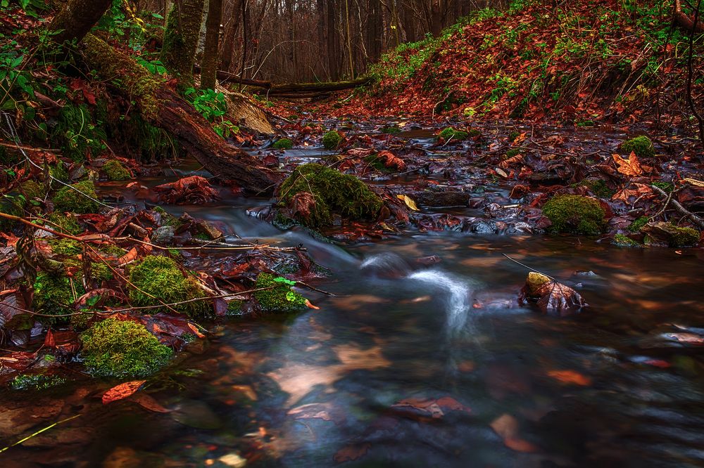 Photograph by Сундеев Дмитрий