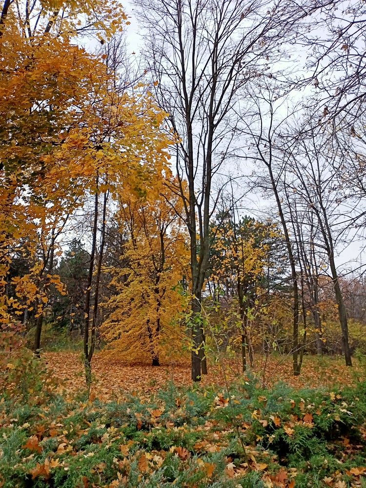 Photograph by Анна Лагун