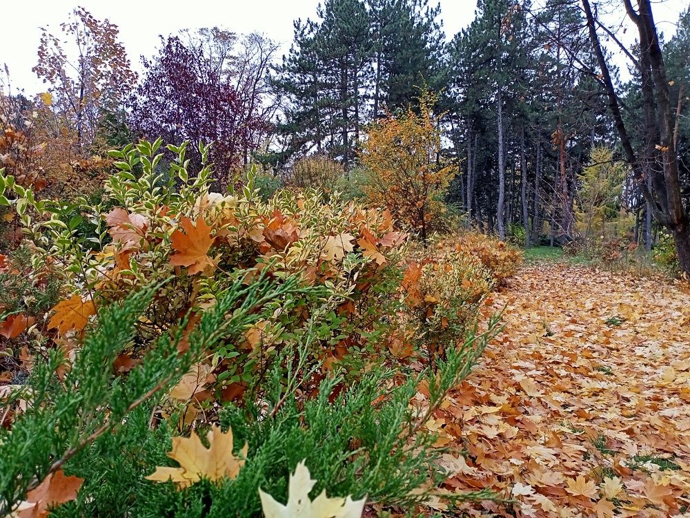 Photograph by Анна Лагун