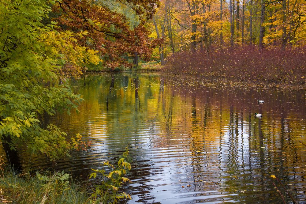 Photograph by Михаил Гордий