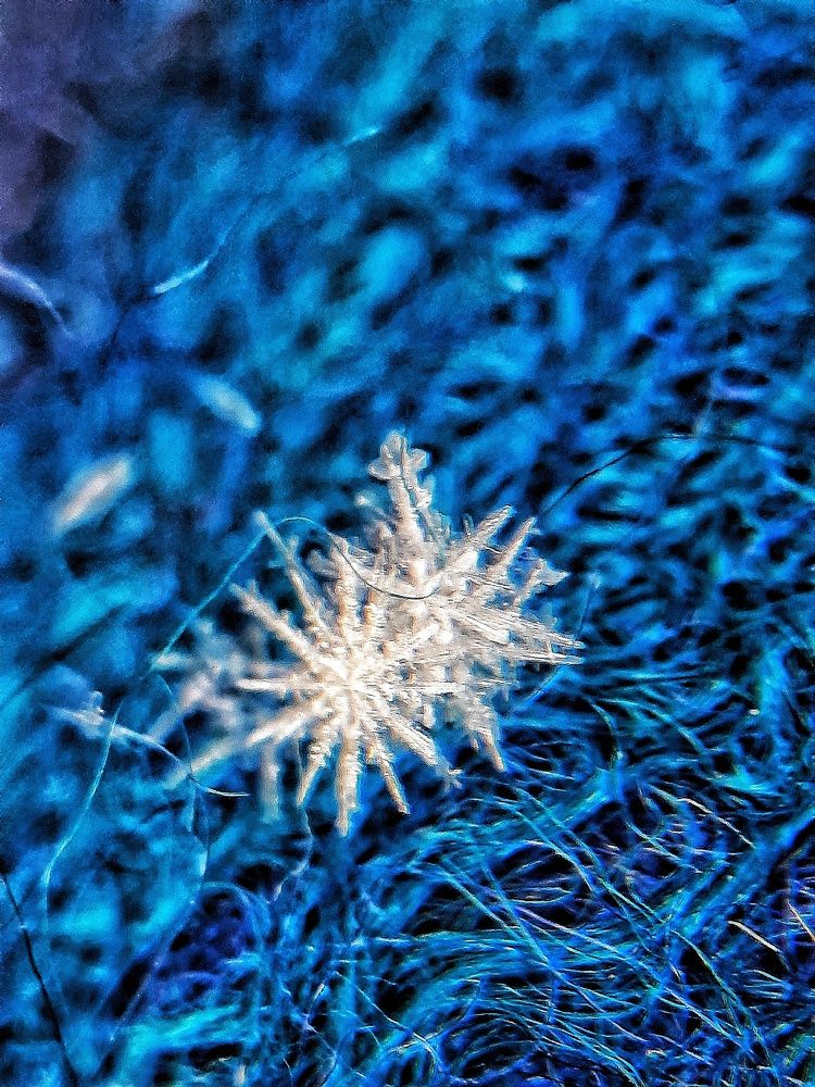 Photograph by Татьяна Григорчук