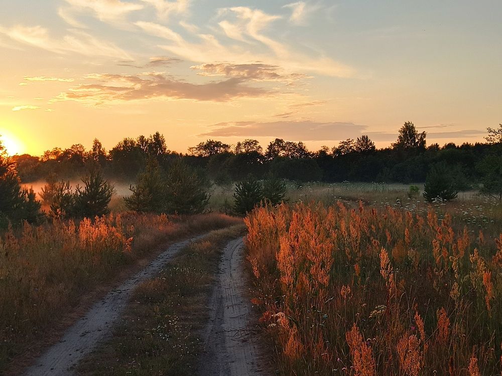 Photograph by Елена