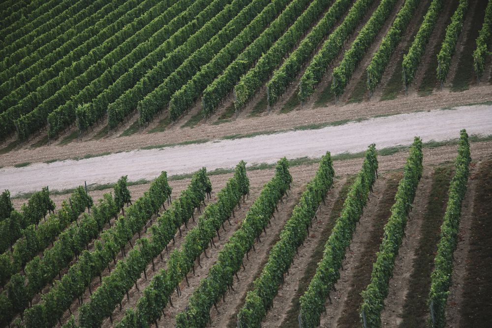 Photograph by Мария Макарова