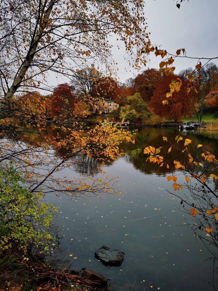 Photograph by Svetlana Jegorova