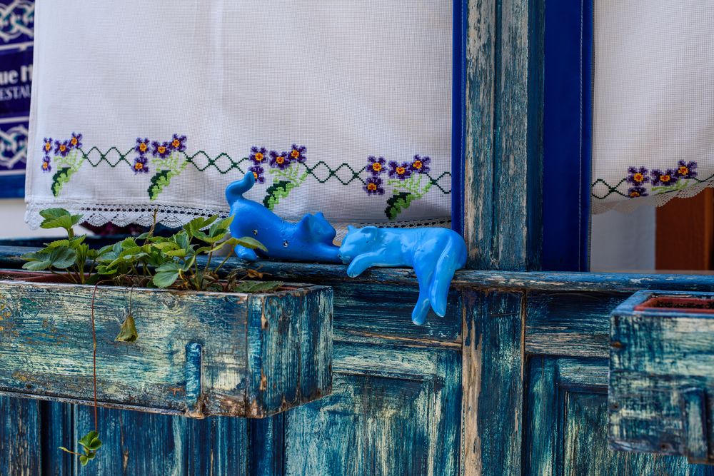 Photograph by Марина Тютюник