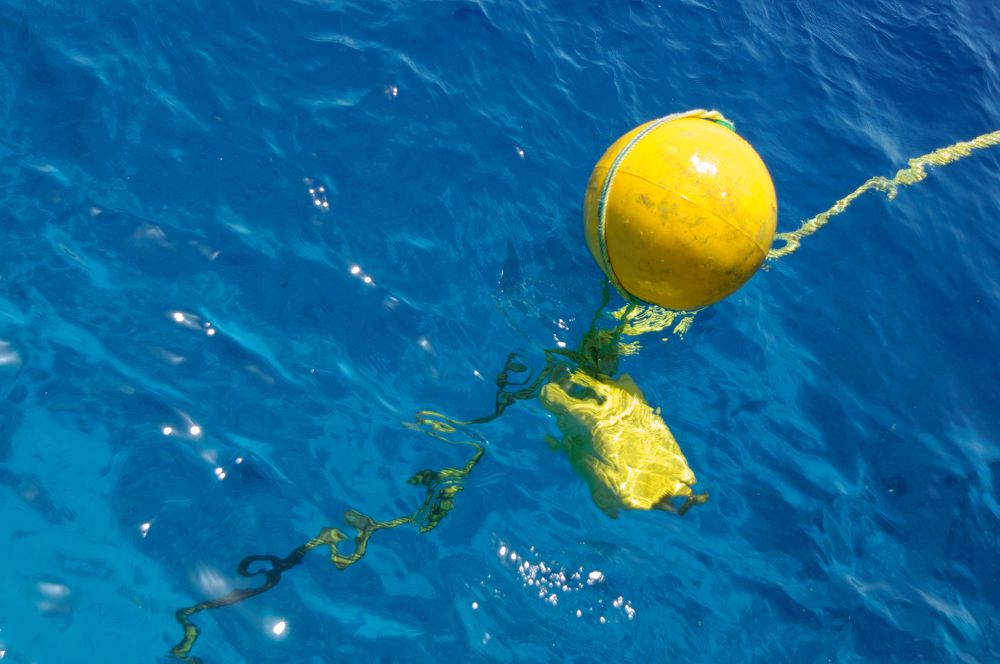 Photograph by Марина Тютюник