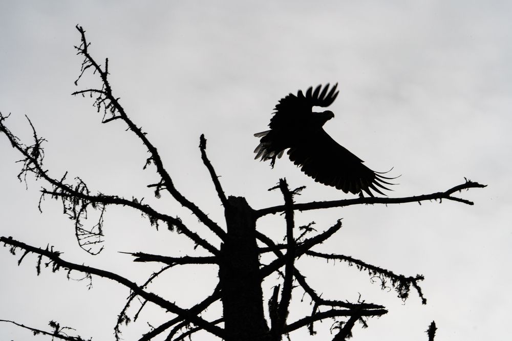 Photograph by Илья