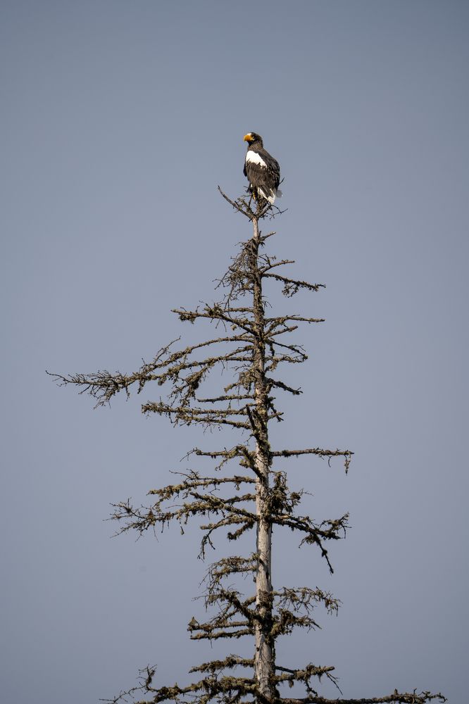 Photograph by Илья