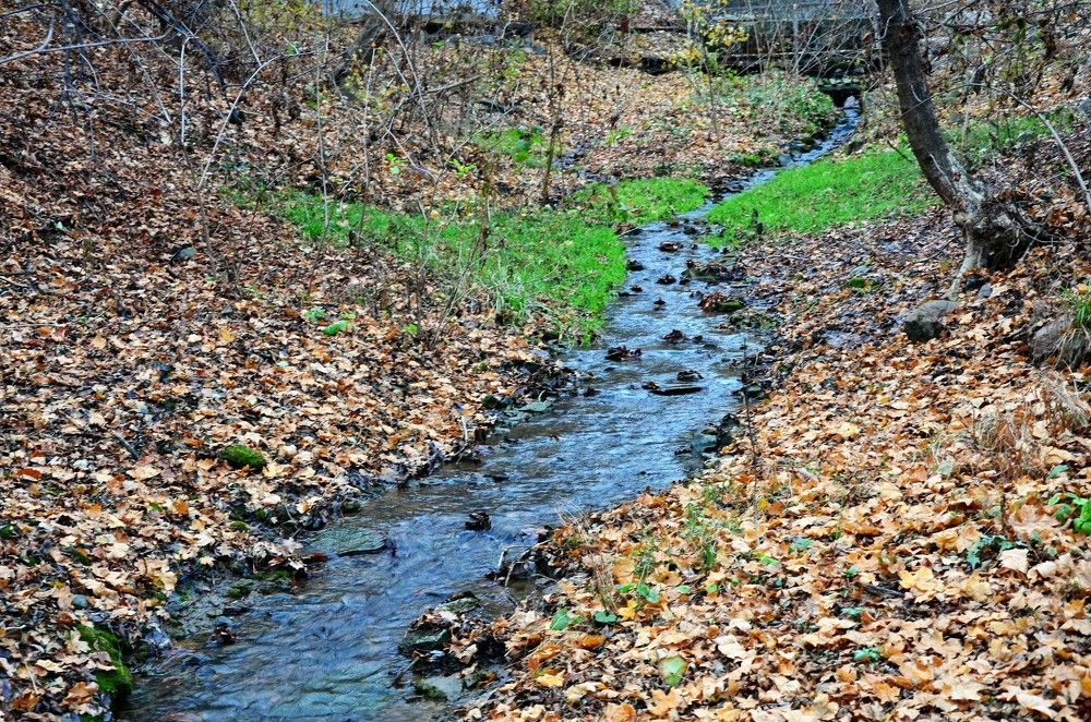 Photograph by Афанасьев Владимир