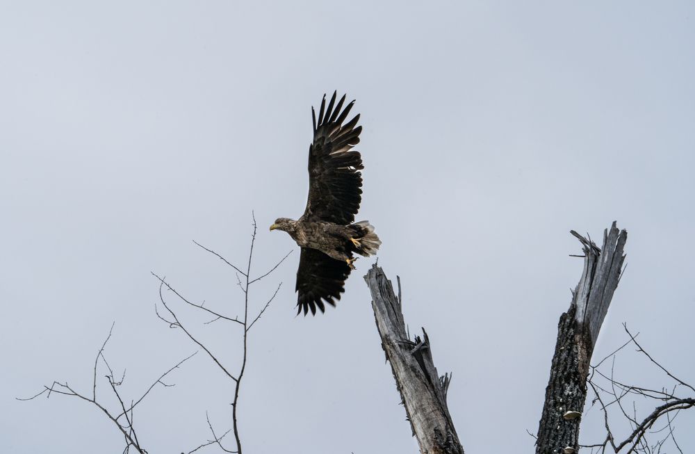 Photograph by Илья