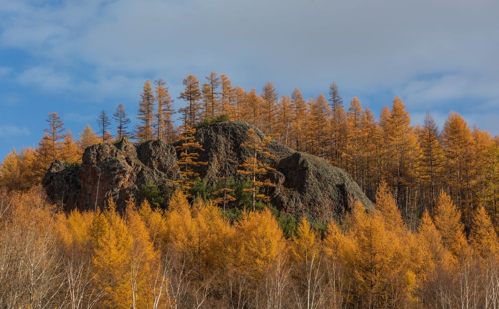 Photograph by Максин Александр