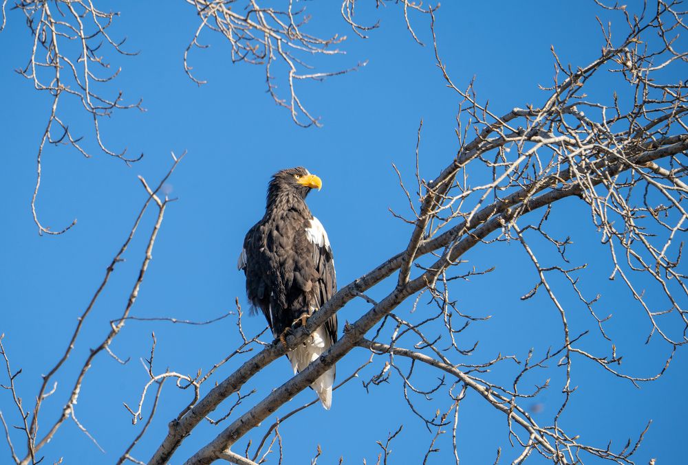 Photograph by Илья