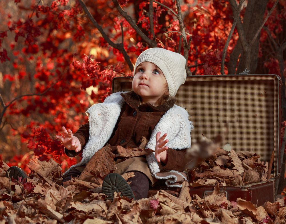 Фотография автора Станислав Ефимов