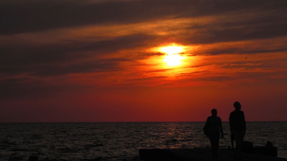 Photograph by Илья Шевченко