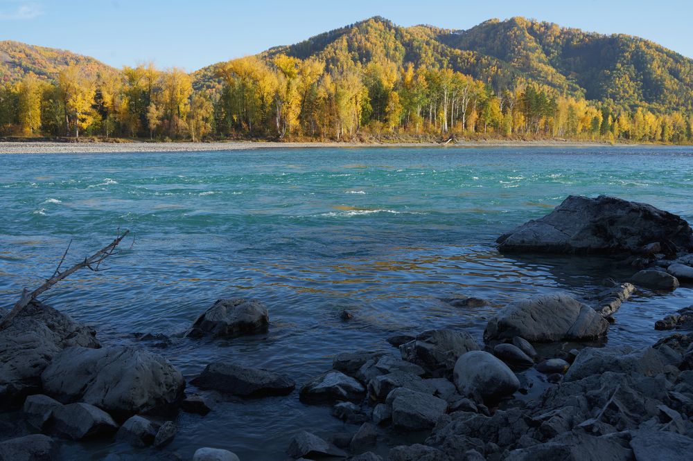 Photograph by Ирина Секачева