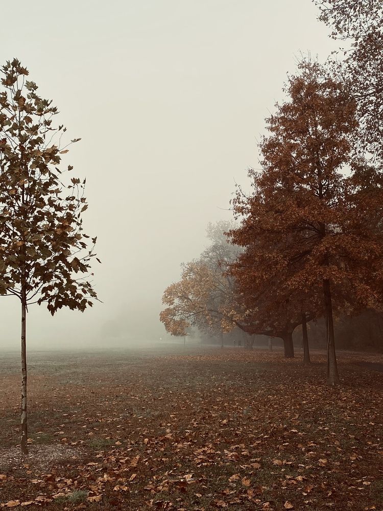 Photograph by Юлия Халяпина