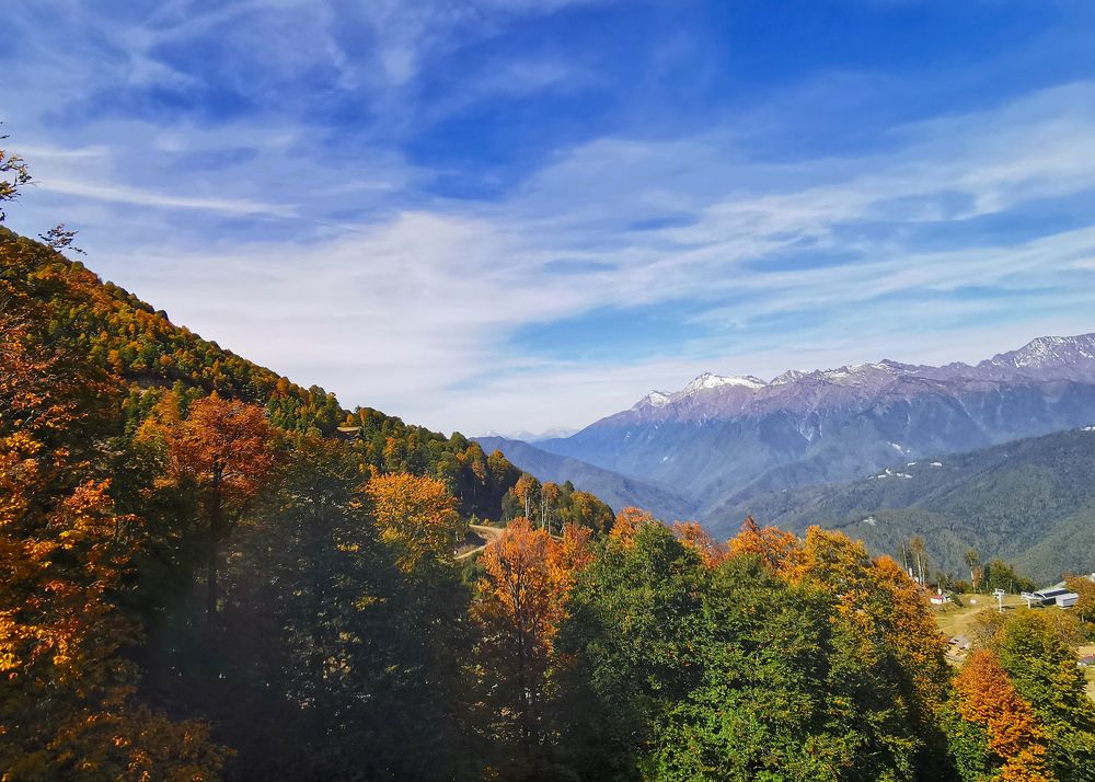 Фотография автора Татьяна Борисова