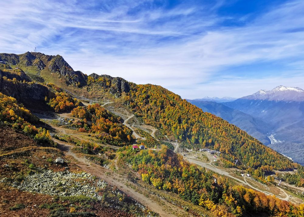 Фотография автора Татьяна Борисова