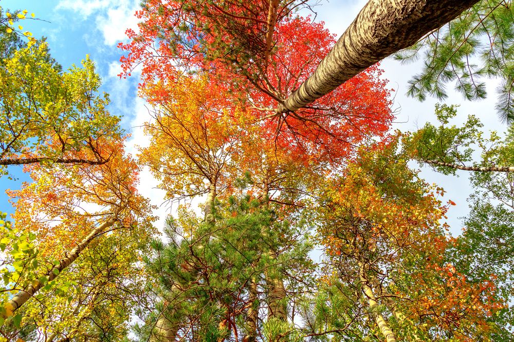 Photograph by Александр Слепцов