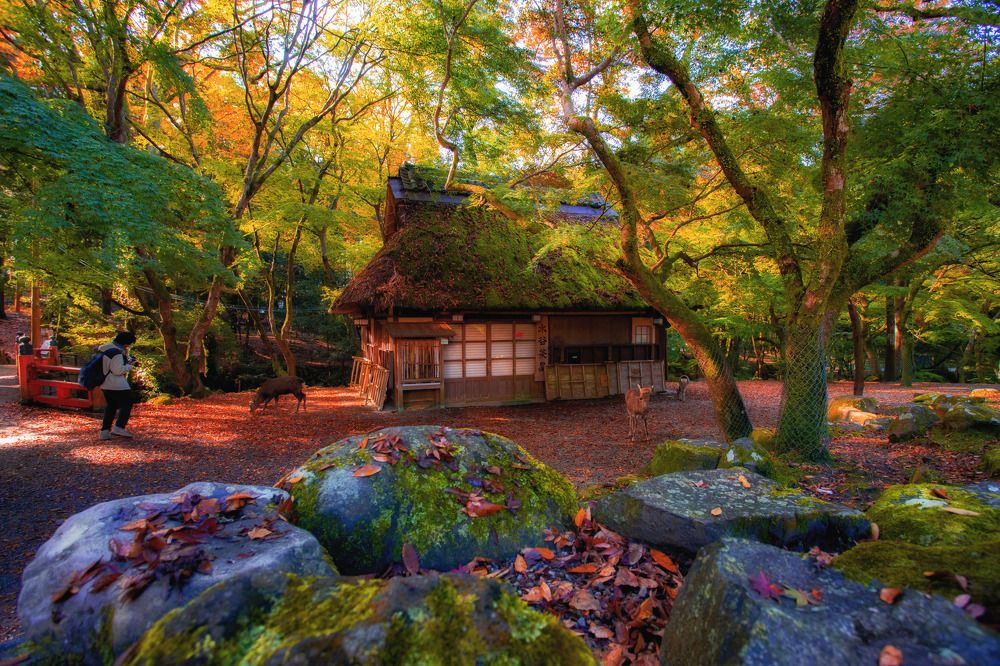 Photograph by Thu Cao