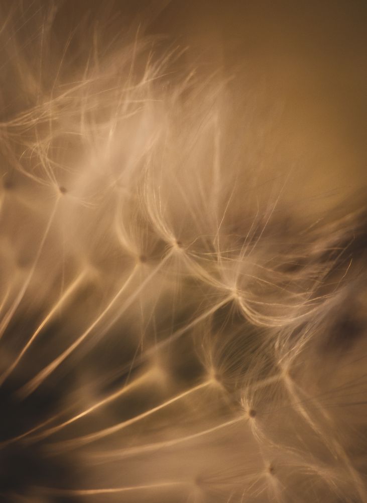 Photograph by Инна Макеева