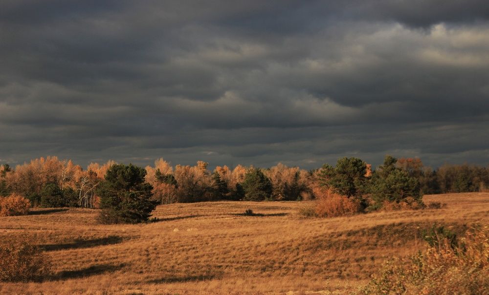 Photograph by Sergey Velichko