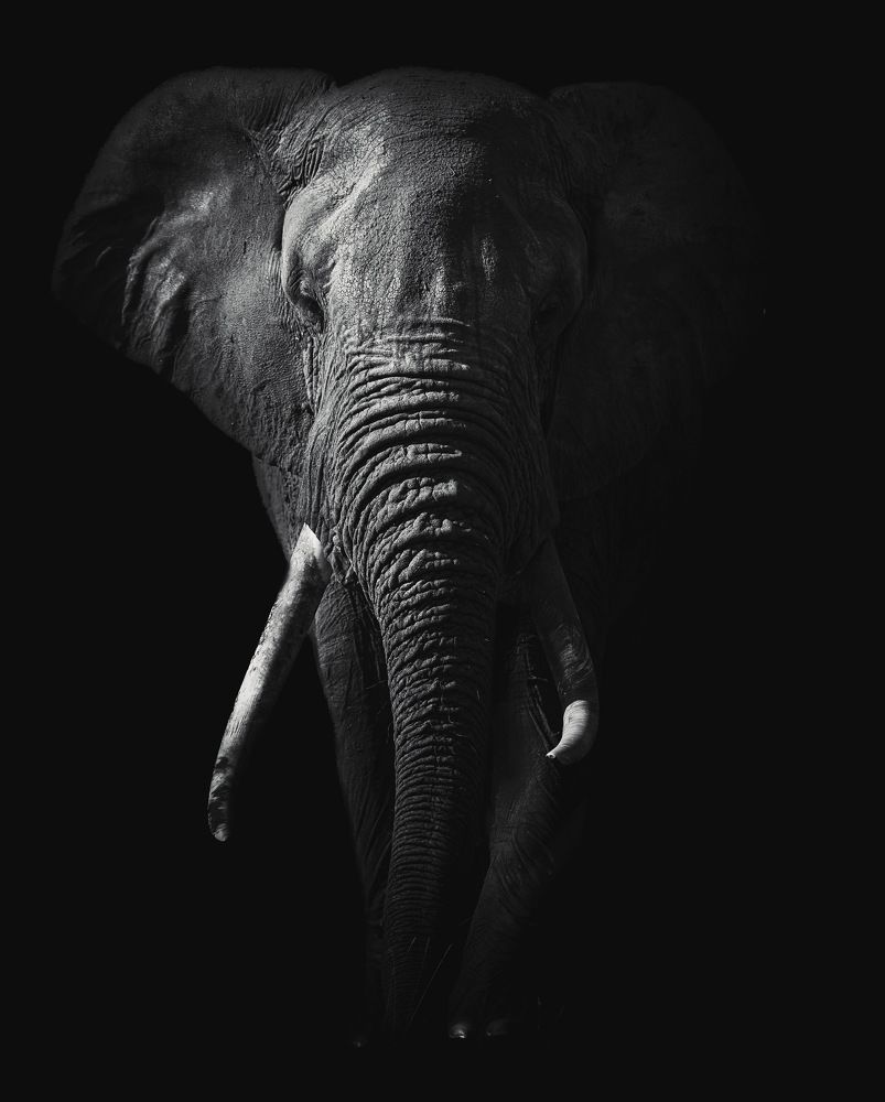 Photograph by Anirudh Vidyabhushan