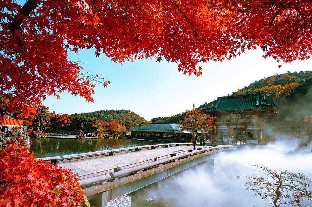 Photograph by Thu Cao