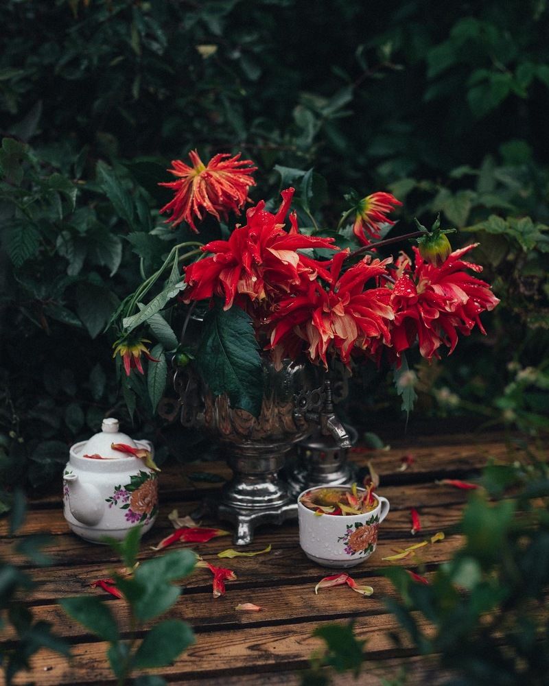 Photograph by Ирина Резнюк