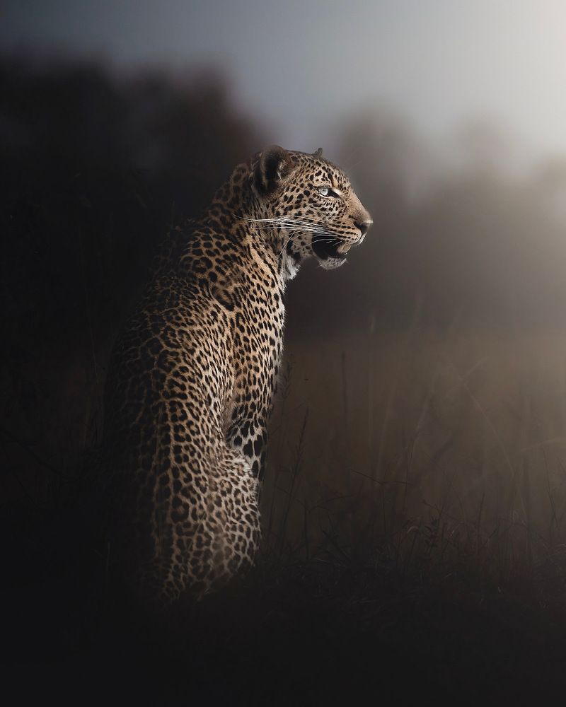 Photograph by Anirudh Vidyabhushan